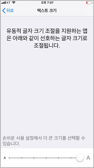 아이폰 텍스트 크기
