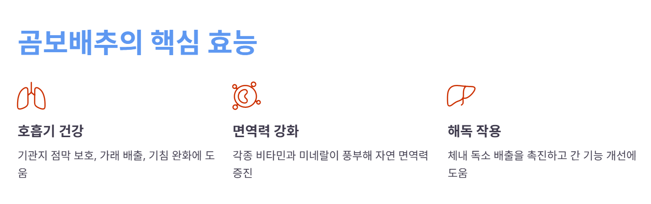 곰보배추의 핵심 효능