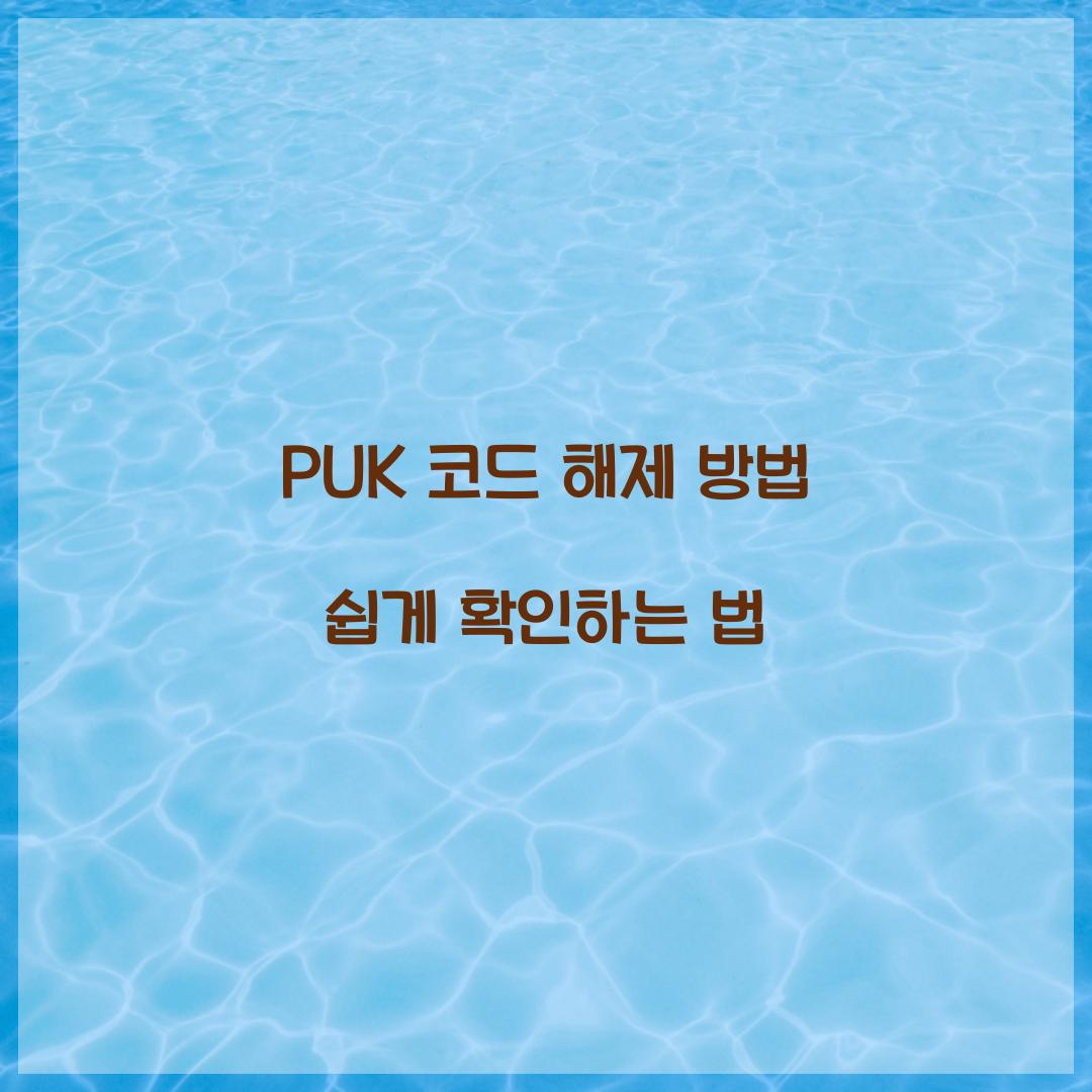 PUK 코드 해제 방법