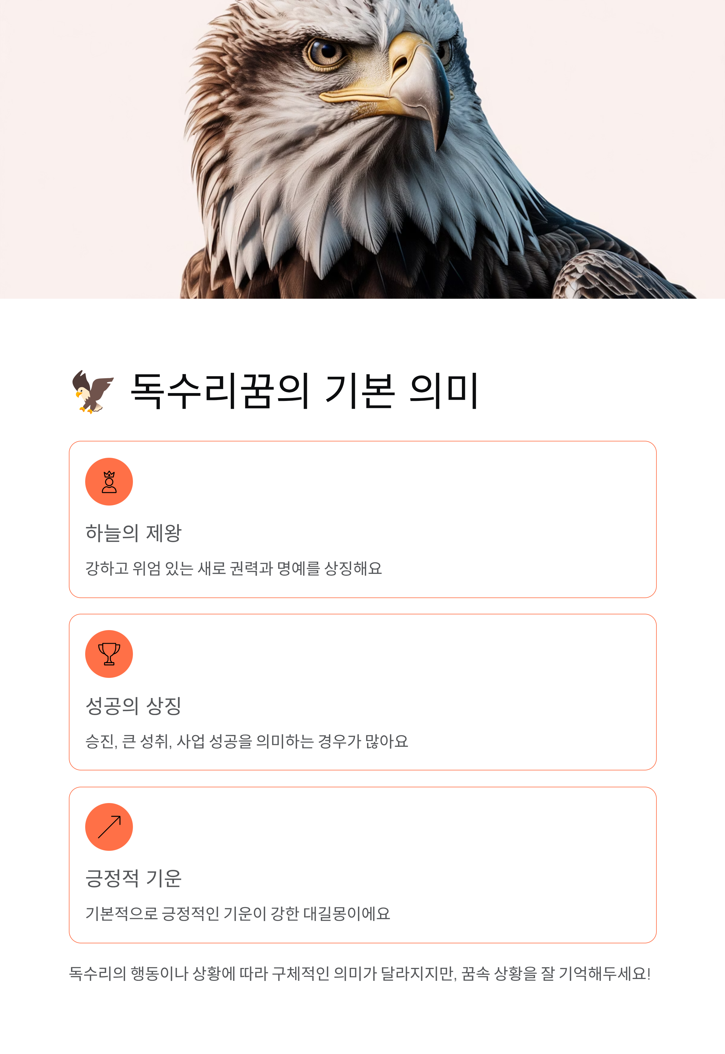 독수리꿈 해몽! 대박 길몽부터 주의해야 할 꿈까지