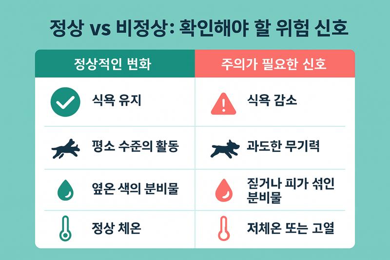 정상 VS 비정상: 확인해야 할 위험 신호