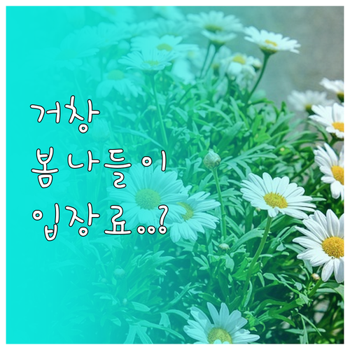 3월 거창 봄 나들이 추천 장소별 특..