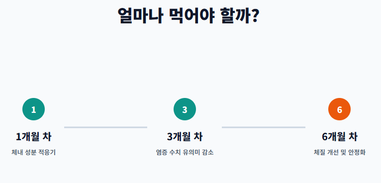염증에 좋은 영양제