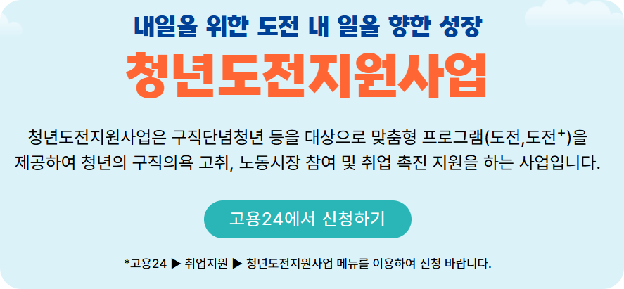 &lt;청년도전지원사업&gt;