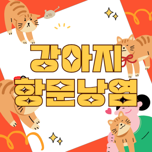 강아지 항문낭염