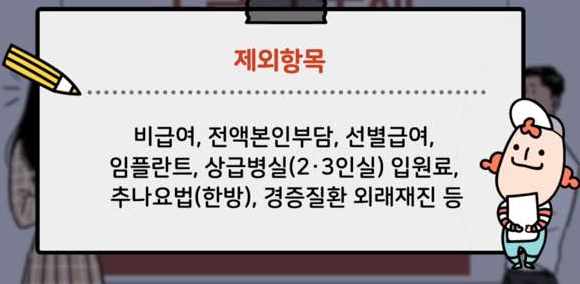 본인부담 상한제 제외항목