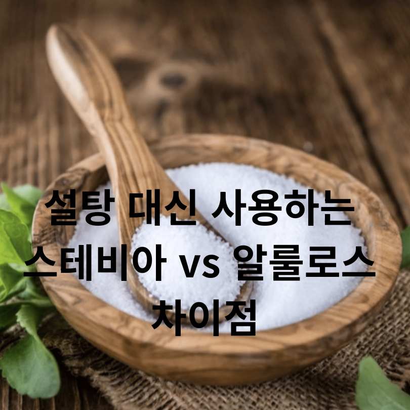 스테비아 vs 알룰로스 차이점