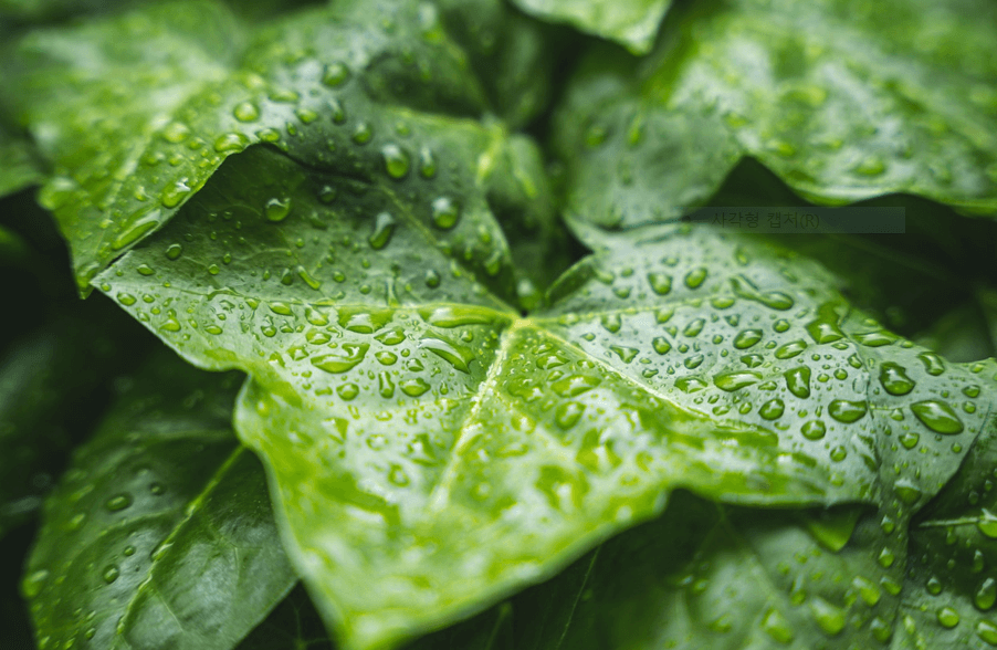 집중호우 피해접수하기(광주광역시 광산구)