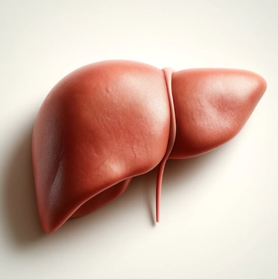 간수치 높은이유