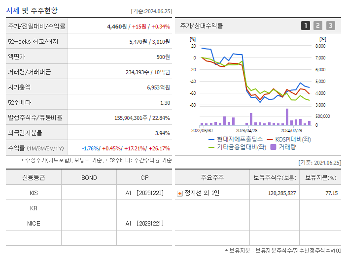 현대지에프홀딩스_기업개요