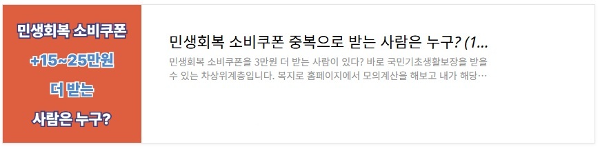 민생회복 소비쿠폰