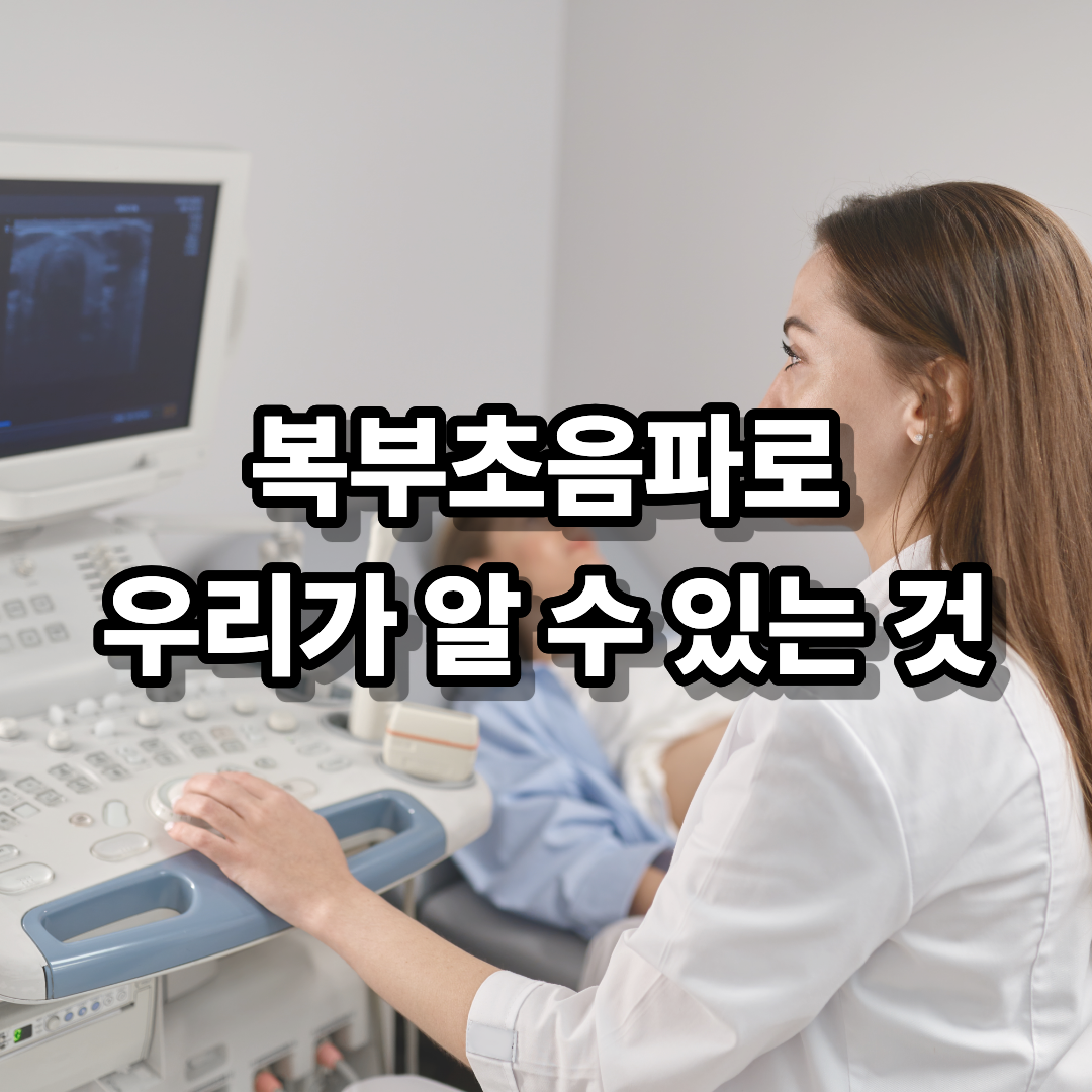 복부초음파 어디까지 보이나