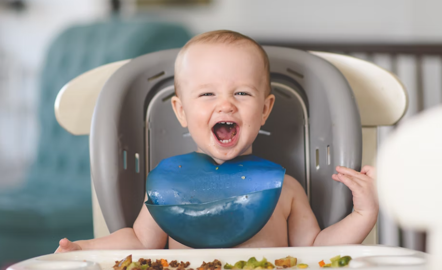 아기의 구강기 발달 시기