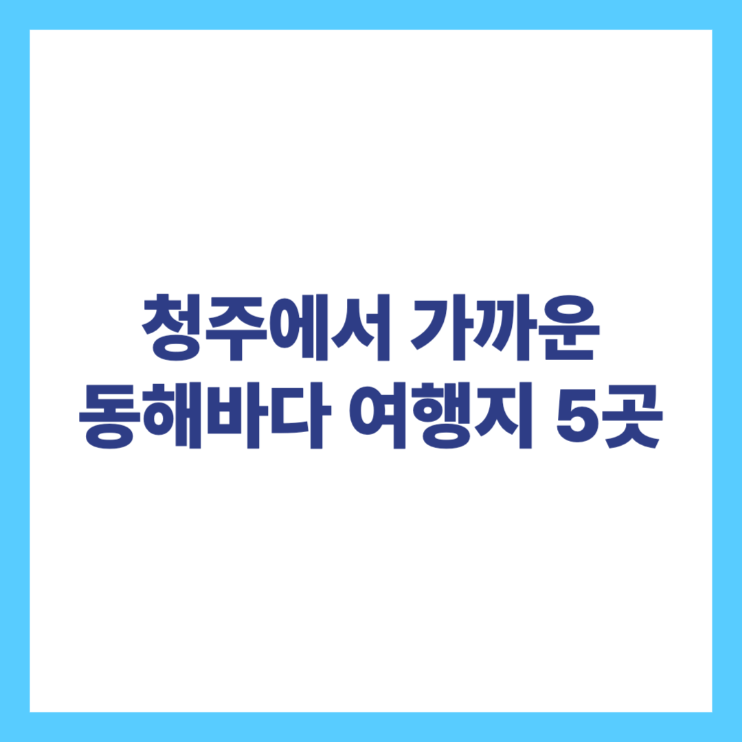 청주에서가까운동해바다