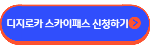 디지로카 스카이패스