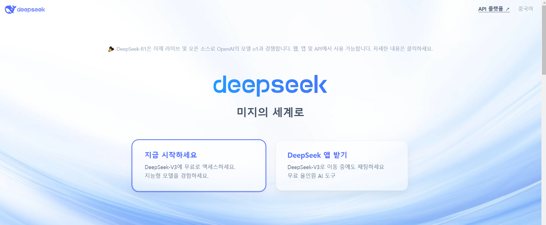 딥시크 주식