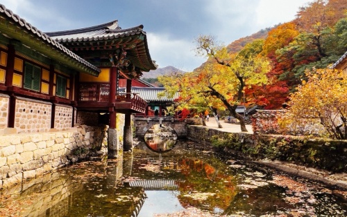 순천_송광사