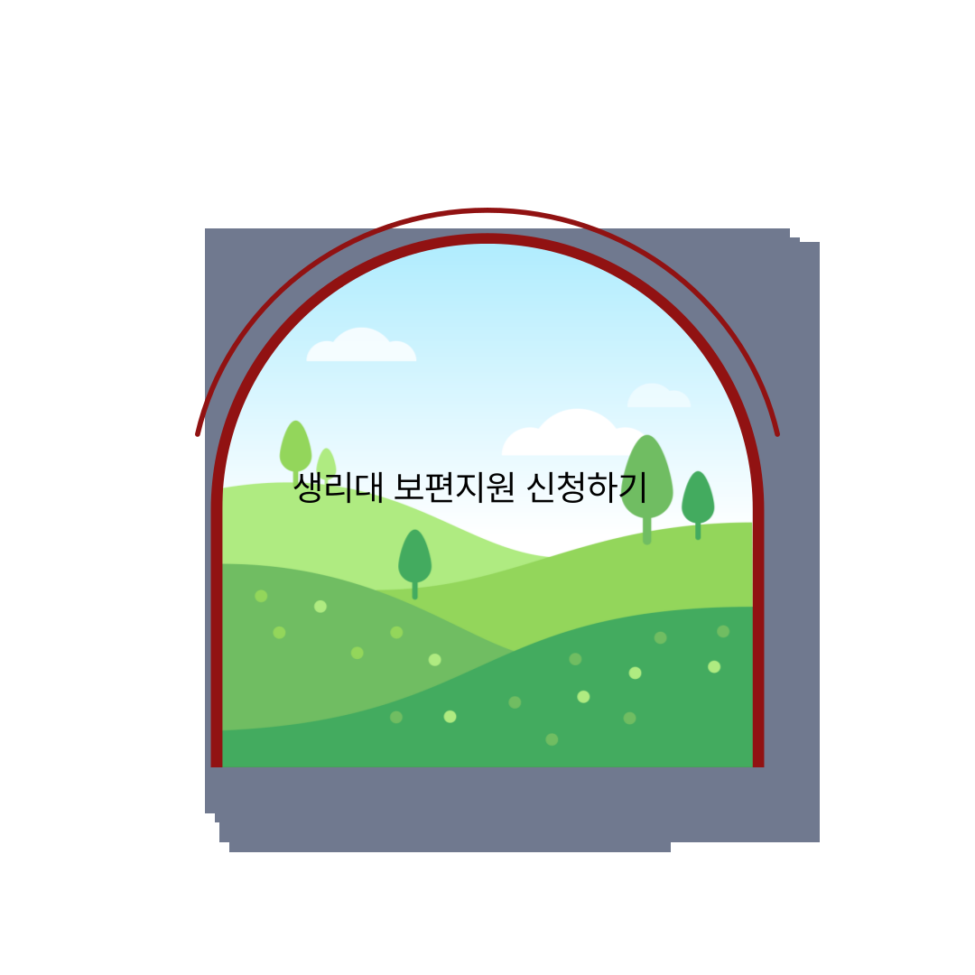 생리대 보편 지원