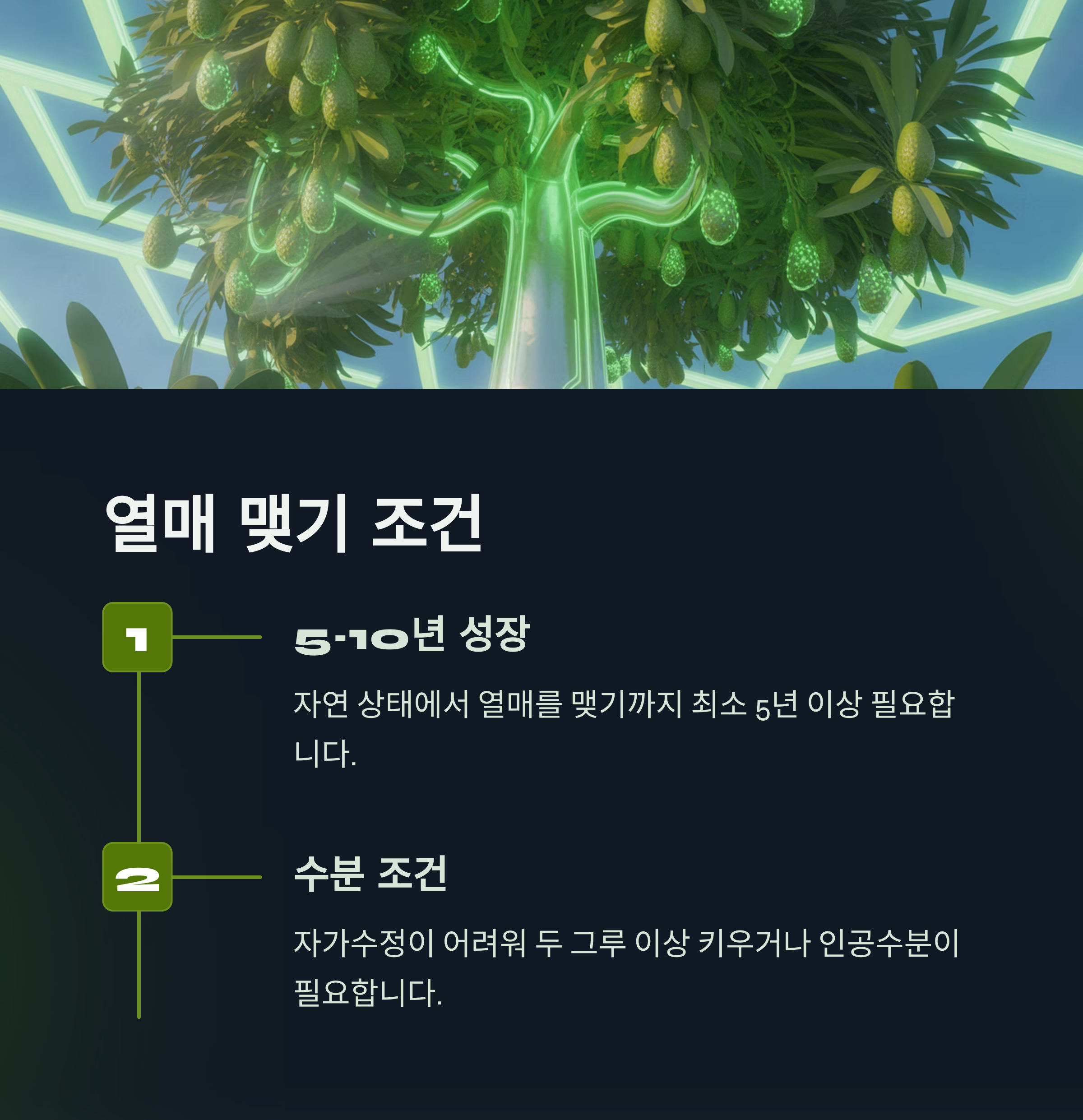 4단계: 열매가 열릴 수 있을까? 결실 조건과 시기