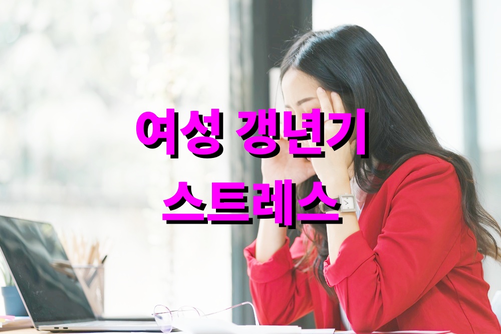 여성 갱년기 스트레스 완화 식습관