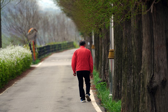 서울 인천 경기도 치매상담 치매 치료 안내 치매안심센터 주소 전화번호 치매상담 콜센터3