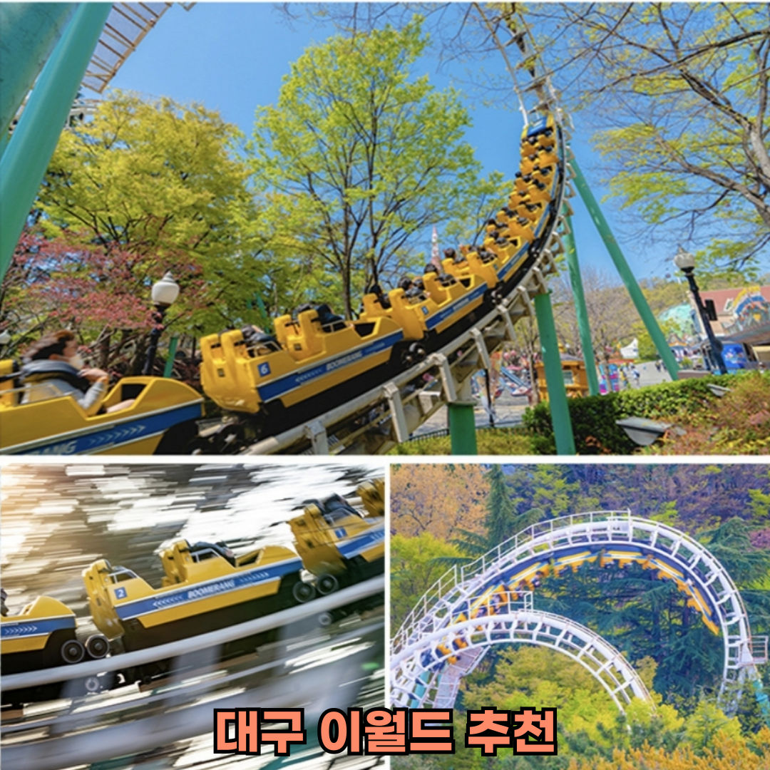 대구 이월드 추천