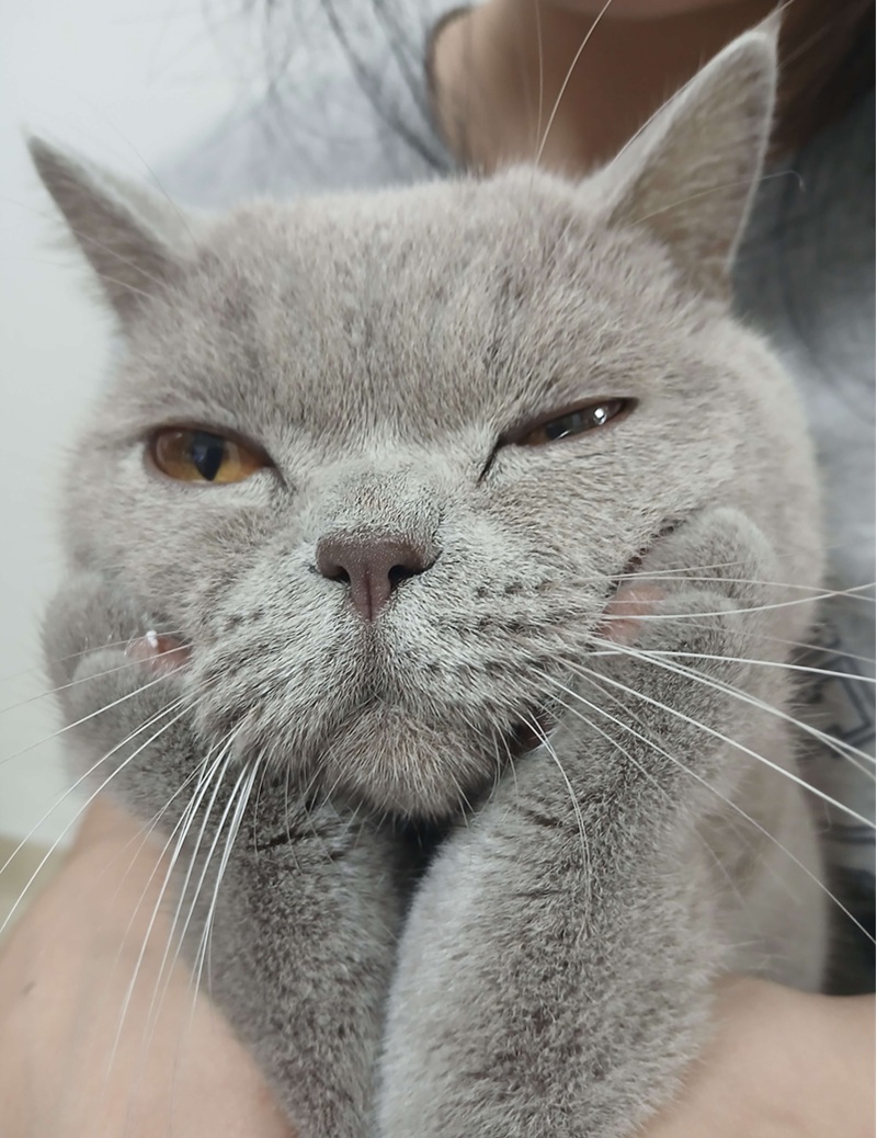 이번엔 무얼 하고 놀까 생각하고 있는 누니