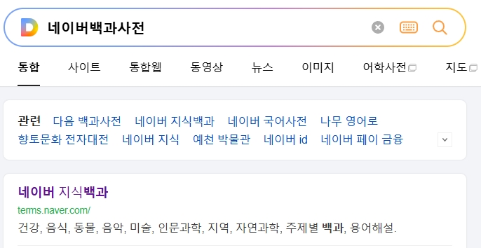 포털 사이트 지식 백과에서 CS 관련 용어를 검색하는 화면