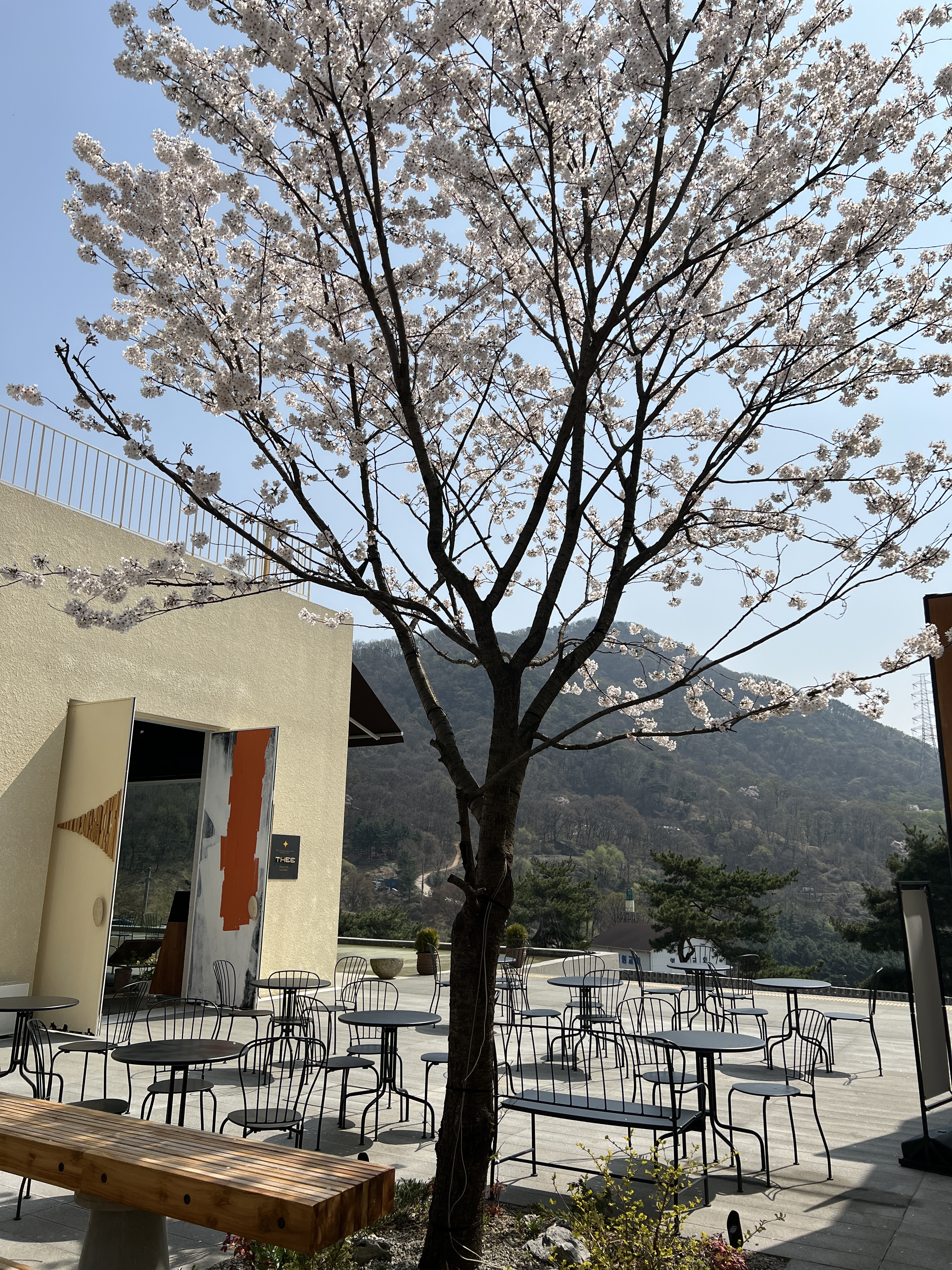 카페디