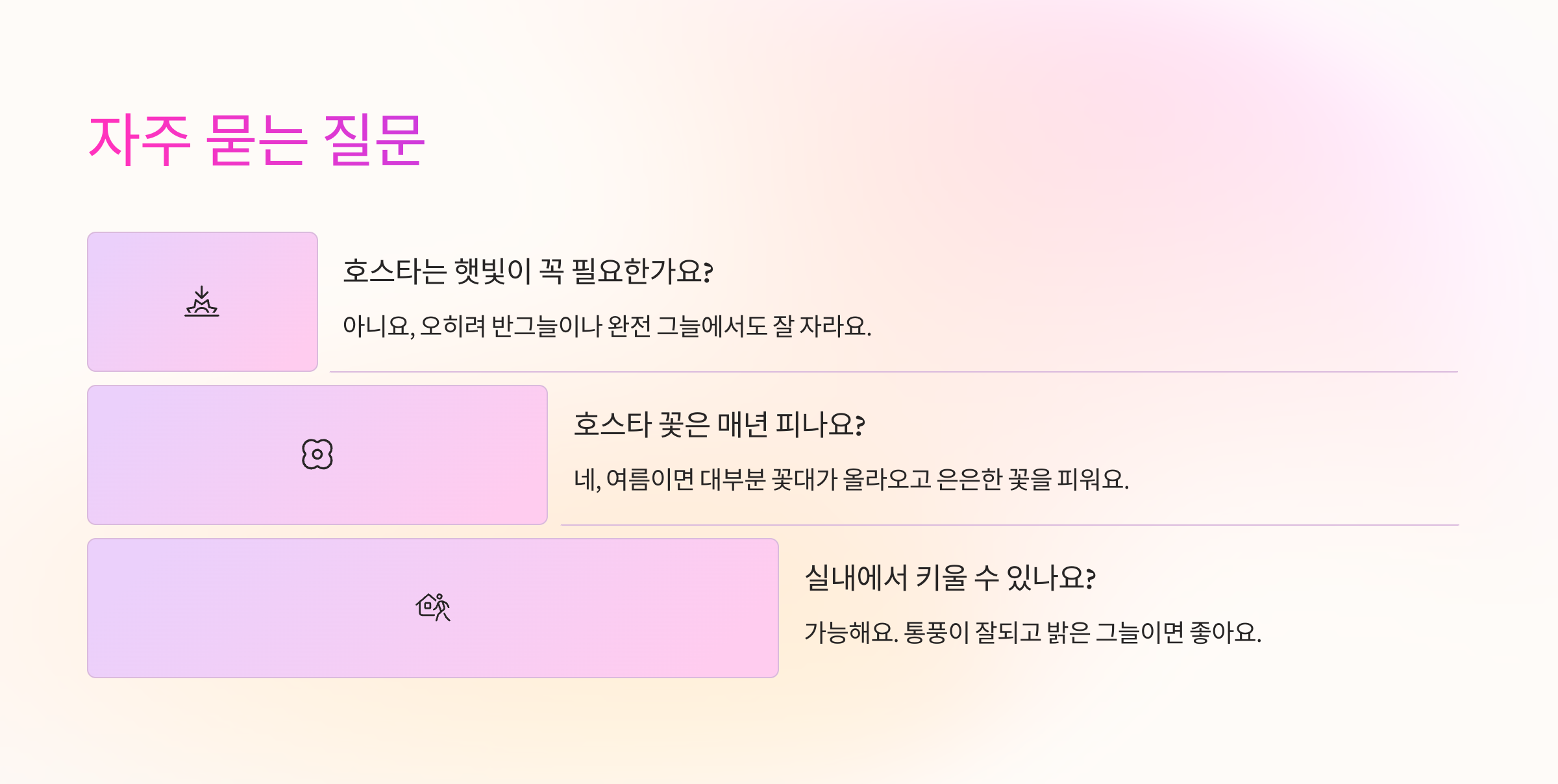 호스타