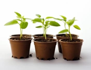 청소년 바우처 아동 청소년 바우처 심리바우처 지원 개편안