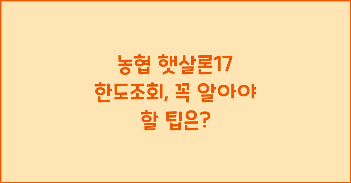 농협 햇살론17 한도조회