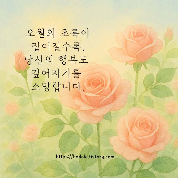 5월 인사말씀