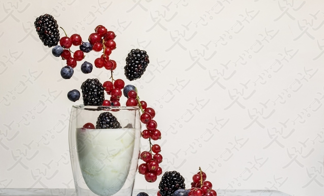 셀트리온 초유 단백질2