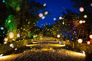 교토 여행 추천 니조성