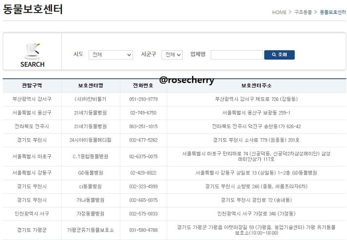 동물보호센터-검색조회하는-화면
