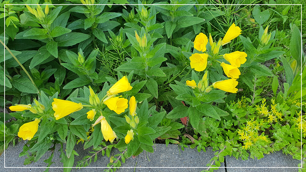산여울 펜션9