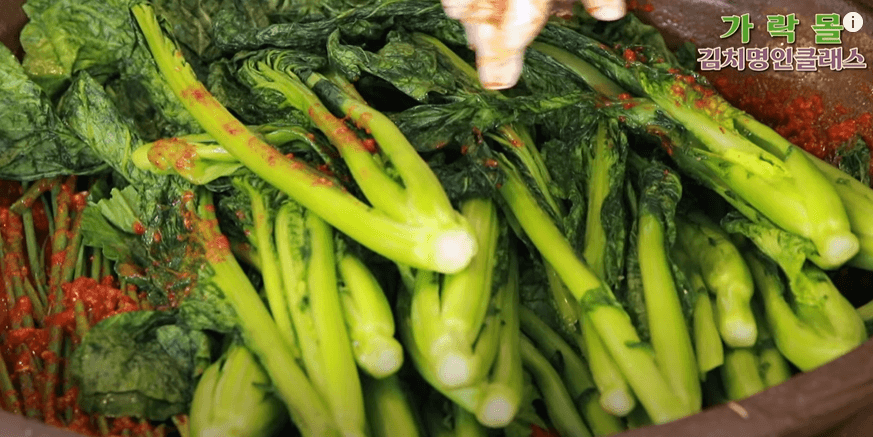 갓김치 담그는법 황금 레시피