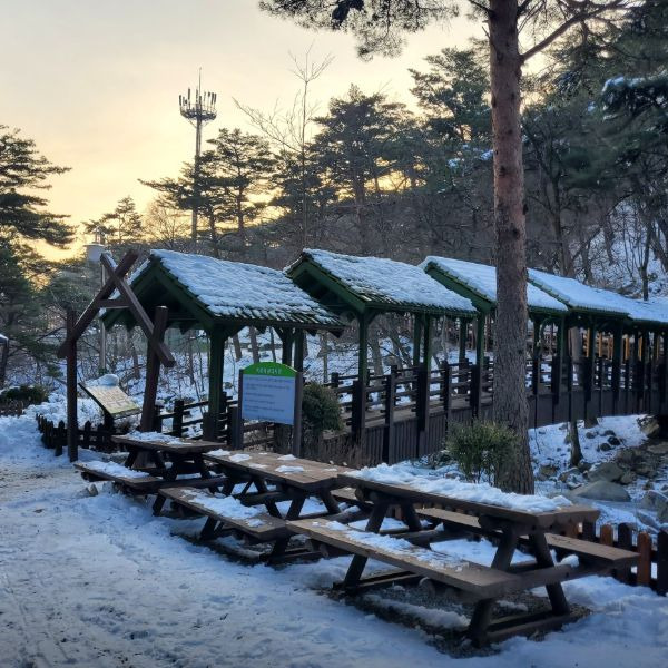 대관령자연휴양림