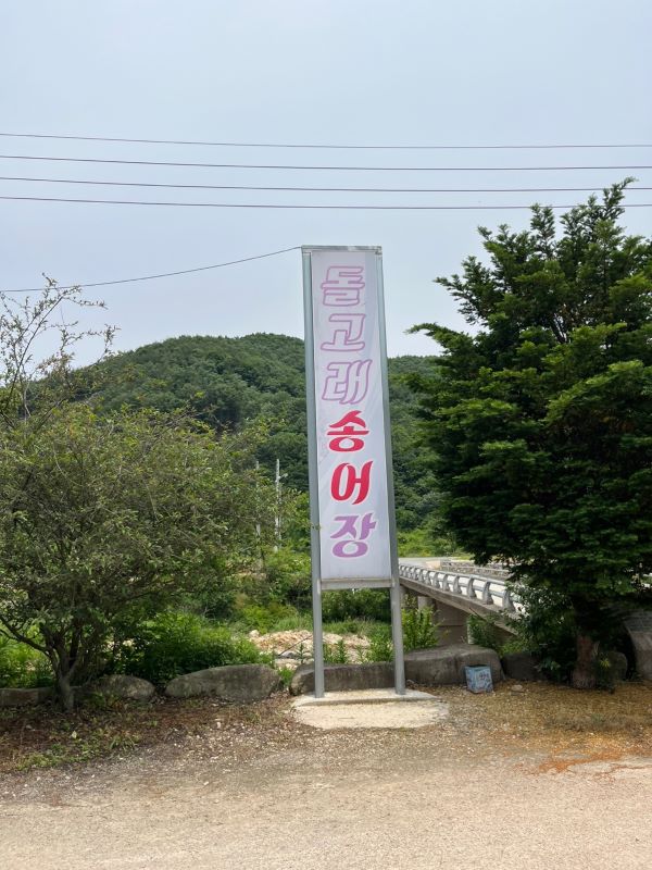 돌고래송어장