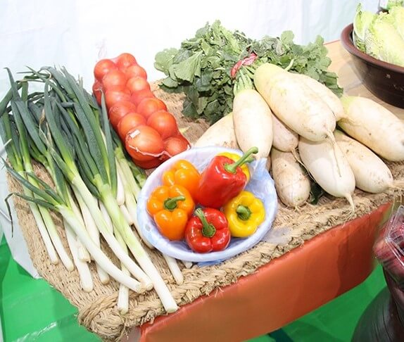 2023 전국 김치축제