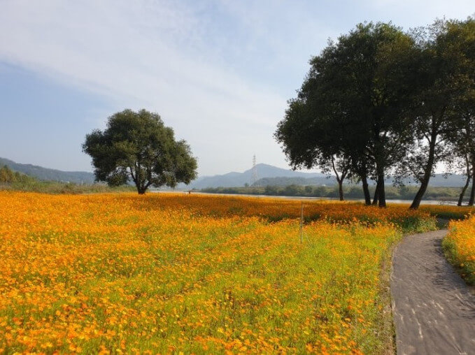 경상도 가을여행