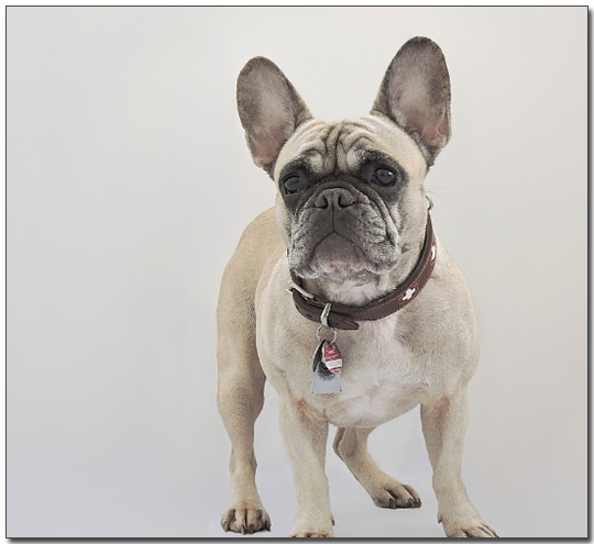 ํ๋ ์น ๋ถ๋
์ ๋ฉด์ฌ์ง