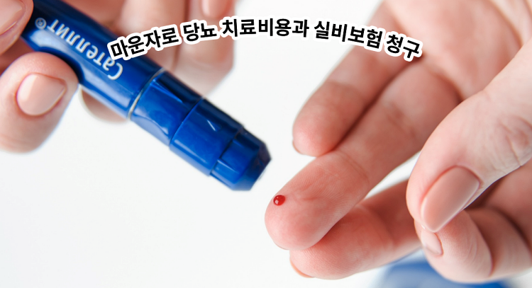 마운자로 당뇨 치료비용과 실비 청구