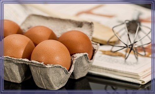 임신 중기에 좋은 음식 10가지