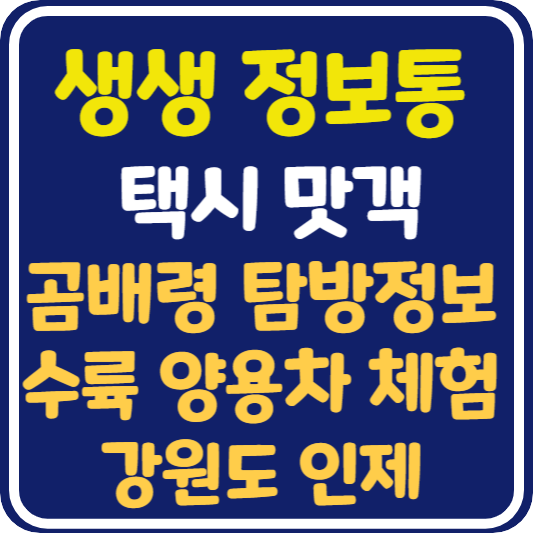 생생 정보통 강원 인제 곰배령 탐방 및 수륙 양용차 체험 정보 안내 : 택시 맛객