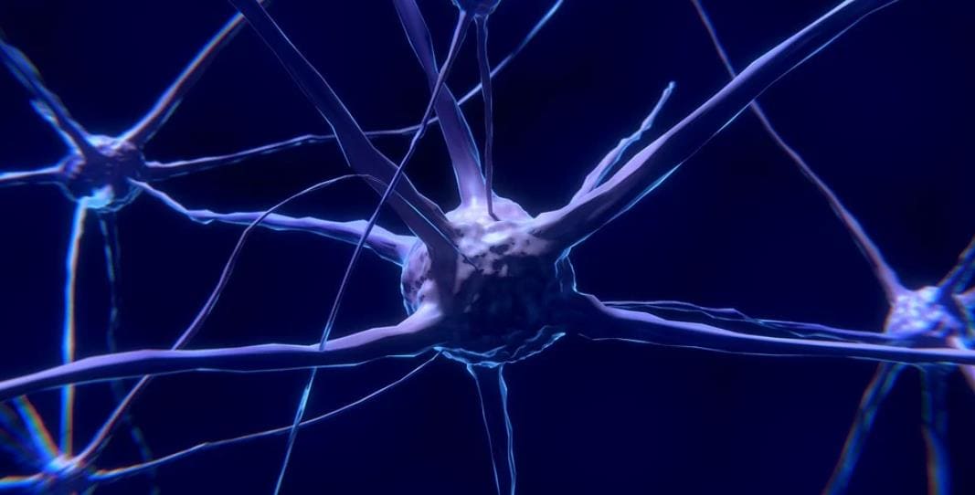 포스트파티딜 세린