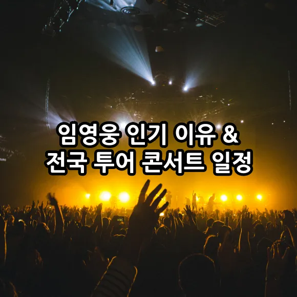 임영웅 인기 이유 및 전국 투어 콘서트 일정