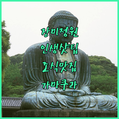 가마쿠라 문학관 장미 정원 촬영 팁과..