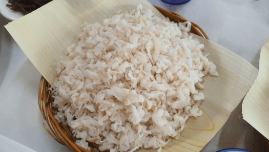 칠암 아나구회, 칠암 방파제, 칠암 야구등대, 칠암 차박하기, 칠암 방파제 낚시 조항